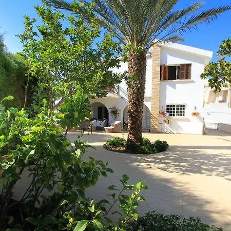 فيلة Fig Tree *