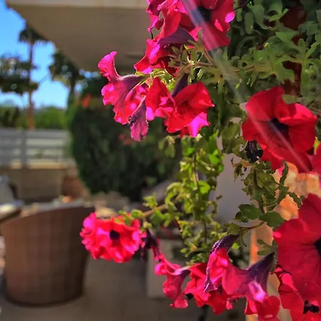 Fig Tree Villa *